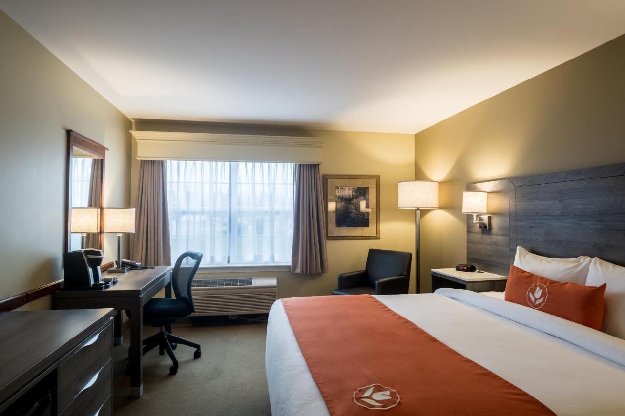 Amsterdam Inn & Suites Moncton Eksteriør billede