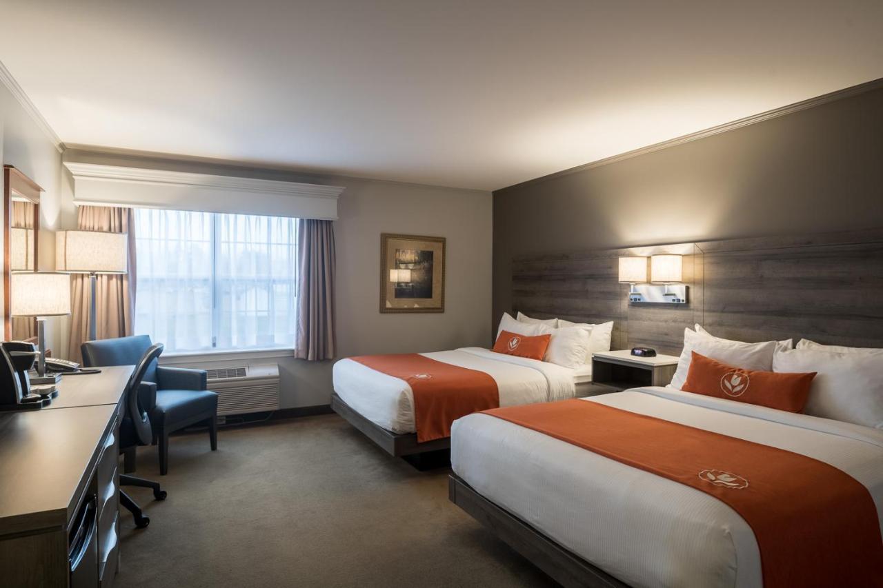 Amsterdam Inn & Suites Moncton Eksteriør billede